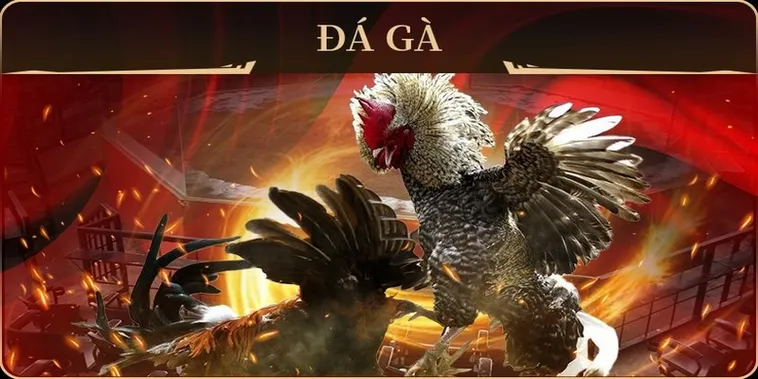 Khám Phá Cách Chơi Đá Gà GA28 Tại 88Bet Chuẩn Xác Nhất 1 Khám Phá Cách Chơi Đá Gà GA28 Tại 88Bet Chuẩn Xác Nhất